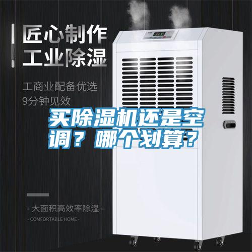 買除濕機還是空調？哪個劃算？