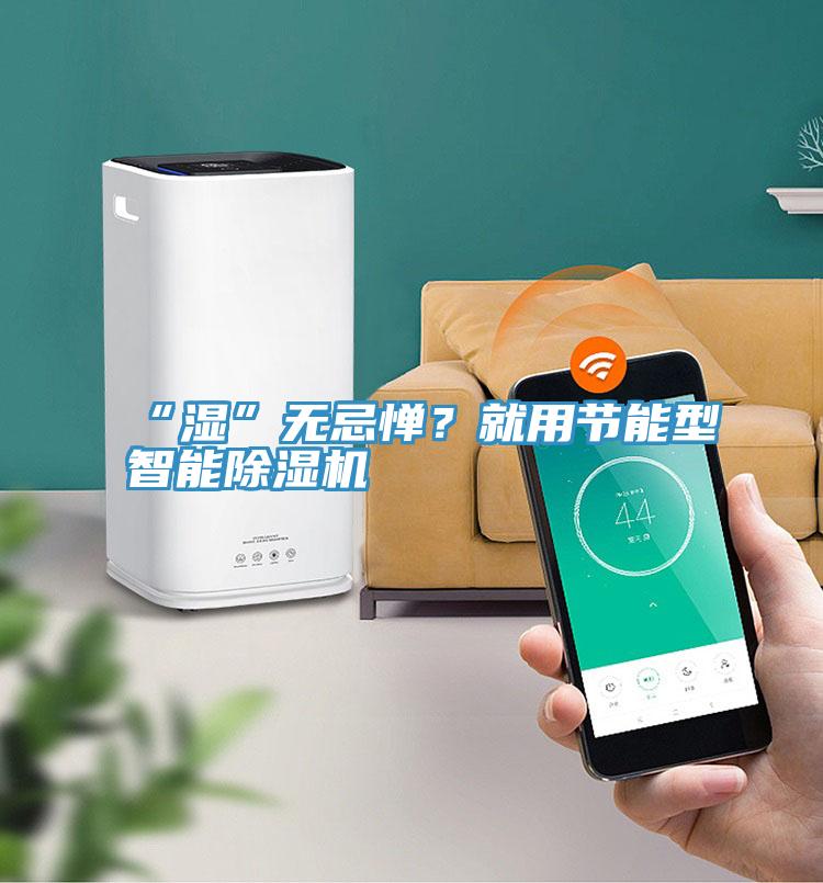“濕”無忌憚？就用節(jié)能型智能除濕機