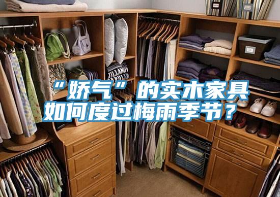 “嬌氣”的實木家具如何度過梅雨季節(jié)？