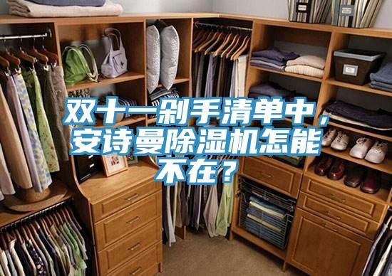 雙十一剁手清單中,安詩曼除濕機怎能不在?