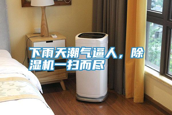 下雨天潮氣逼人,除濕機一掃而盡