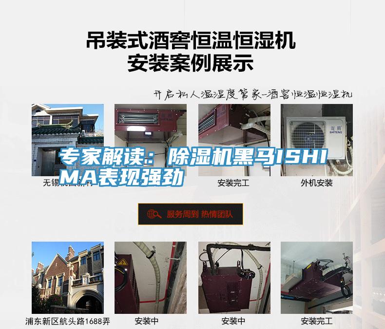 專家解讀:除濕機黑馬ISHIMA表現強勁
