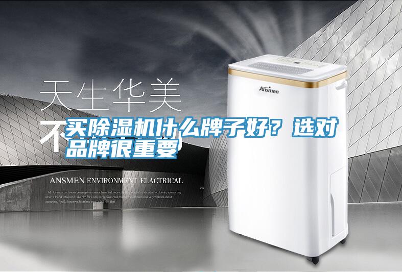 買除濕機(jī)什么牌子好？選對品牌很重要