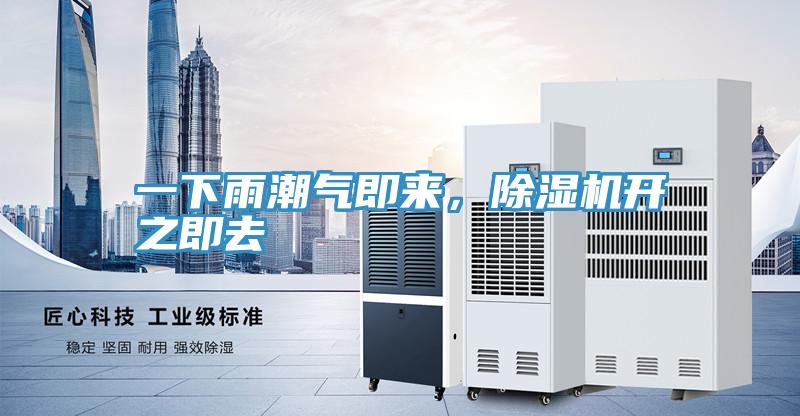 一下雨潮氣即來,除濕機開之即去