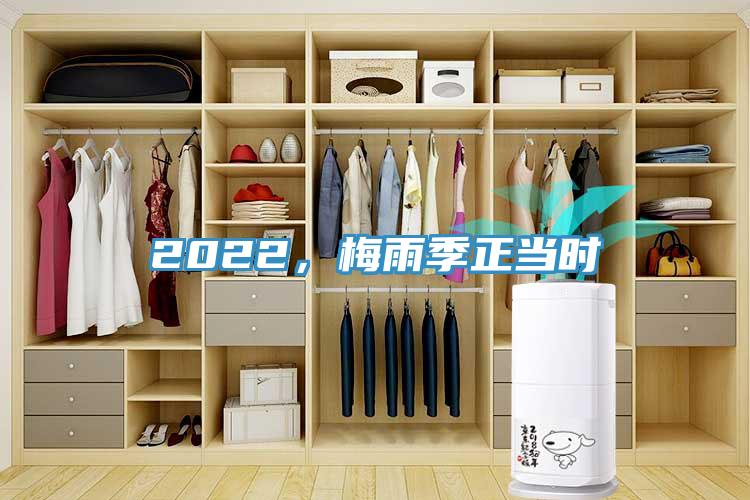 2022，梅雨季正當時