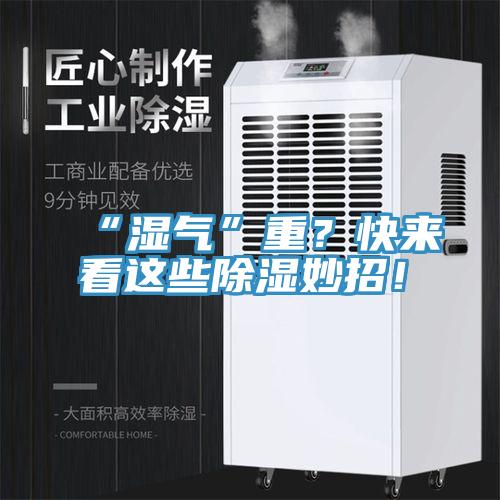 “濕氣”重？快來看這些除濕妙招！