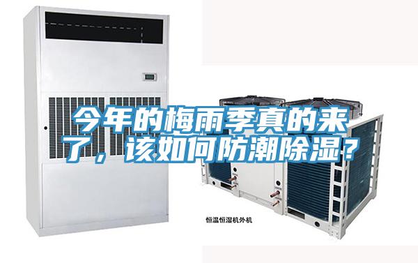 今年的梅雨季真的來了,該如何防潮除濕?