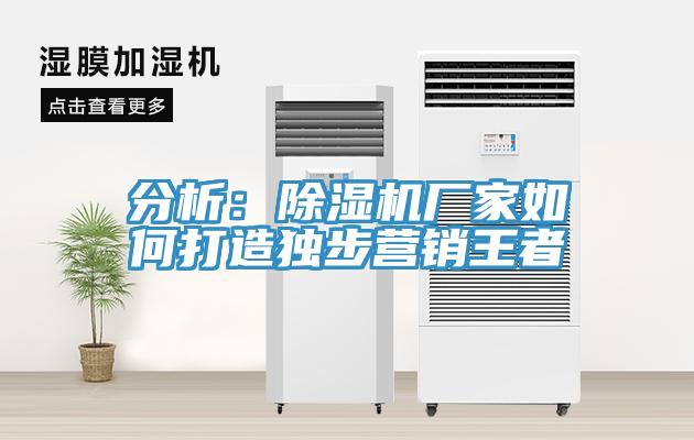 分析:除濕機廠家如何打造獨步營銷王者