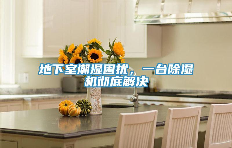 地下室潮濕困擾,一臺除濕機徹底解決