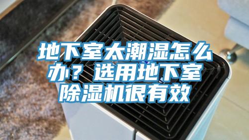地下室太潮濕怎么辦？選用地下室除濕機(jī)很有效