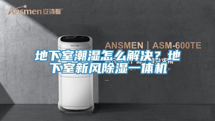 地下室潮濕怎么解決？地下室新風(fēng)除濕一體機(jī)