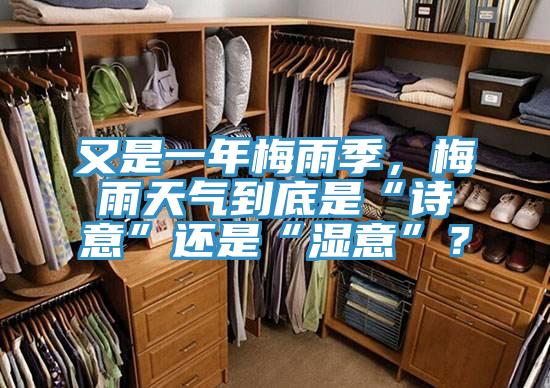 又是一年梅雨季，梅雨天氣到底是“詩(shī)意”還是“濕意”？