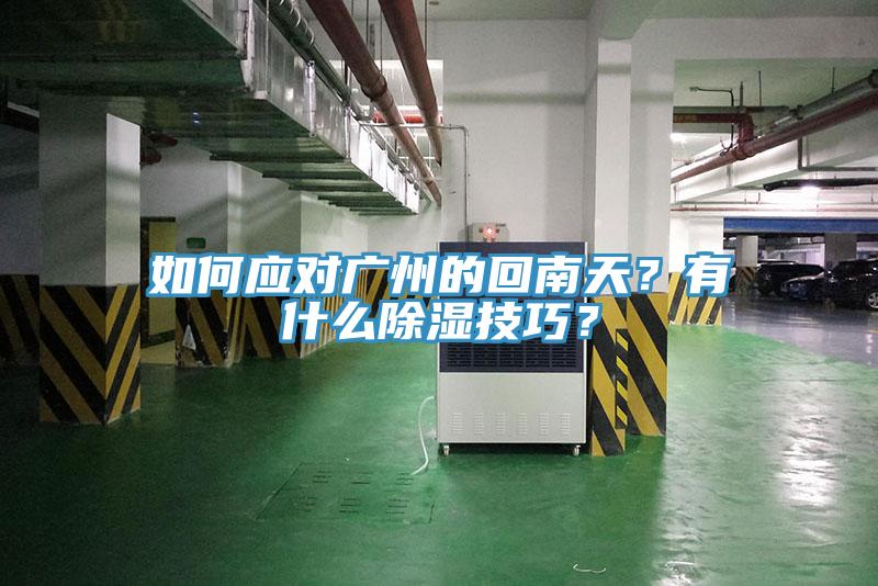 如何應(yīng)對(duì)廣州的回南天？有什么除濕技巧？