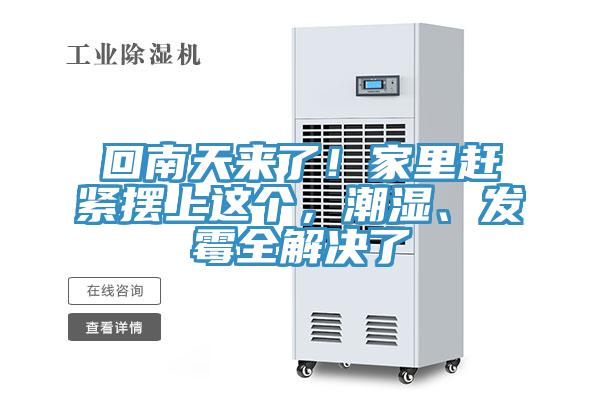 回南天來(lái)了！家里趕緊擺上這個(gè)，潮濕、發(fā)霉全解決了