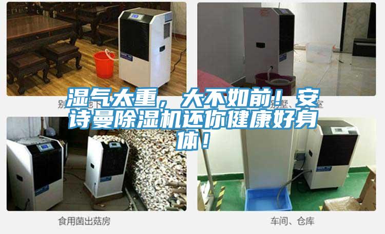 濕氣太重，大不如前！安詩曼除濕機還你健康好身體！