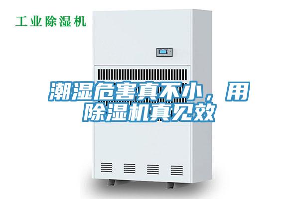 潮濕危害真不小，用除濕機真見效
