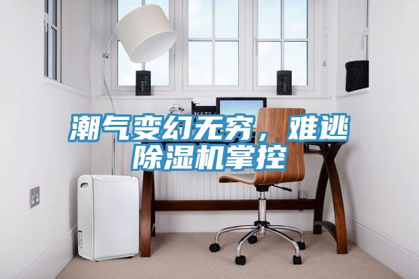 潮氣變幻無窮，難逃除濕機掌控