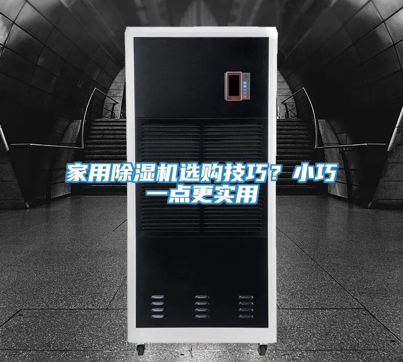 家用除濕機(jī)選購(gòu)技巧?小巧一點(diǎn)更實(shí)用