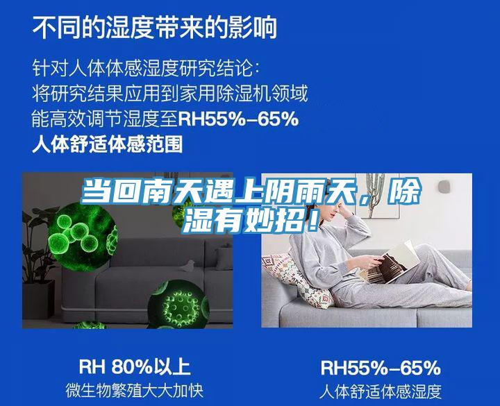 當(dāng)回南天遇上陰雨天，除濕有妙招！