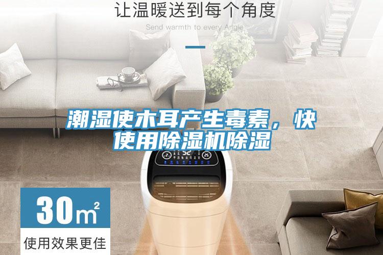 潮濕使木耳產生毒素，快使用除濕機除濕