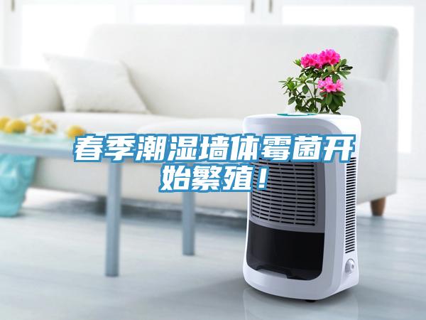 春季潮濕墻體霉菌開始繁殖！