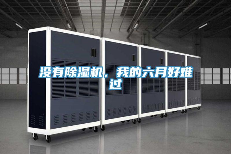 沒(méi)有除濕機(jī)，我的六月好難過(guò)