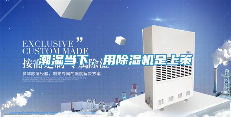 潮濕當下，用除濕機是上策