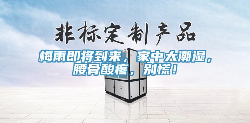 梅雨即將到來，家中太潮濕，腰骨酸疼，別慌！