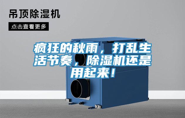 瘋狂的秋雨，打亂生活節奏，除濕機還是用起來！