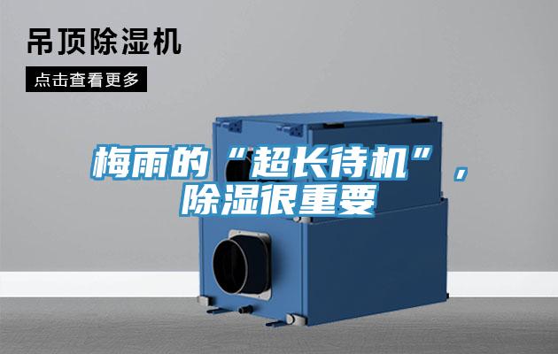 梅雨的“超長待機”，除濕很重要