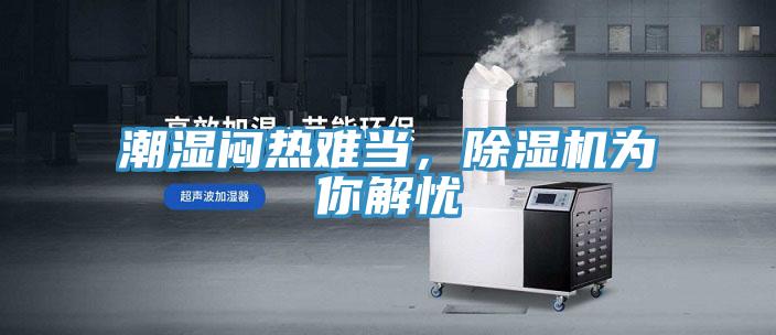 潮濕悶熱難當，除濕機為你解憂