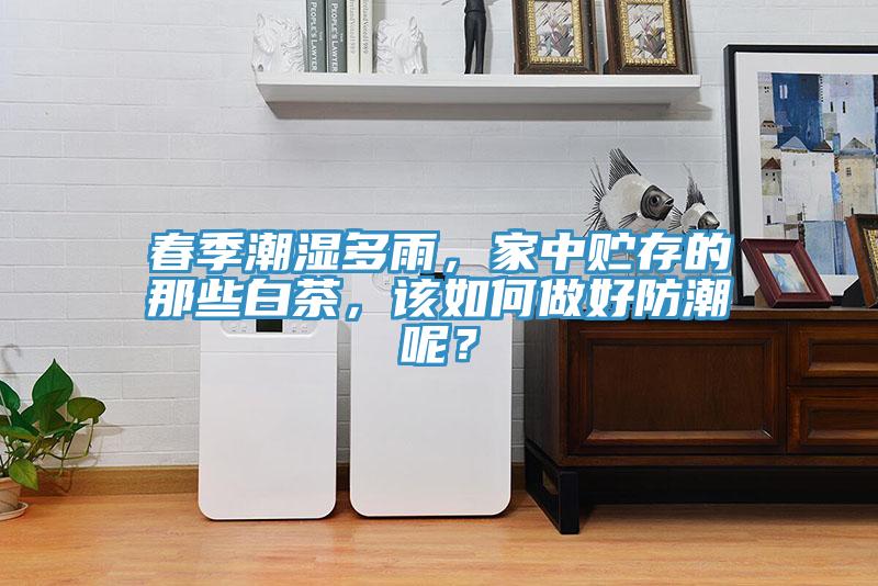 春季潮濕多雨，家中貯存的那些白茶，該如何做好防潮呢？