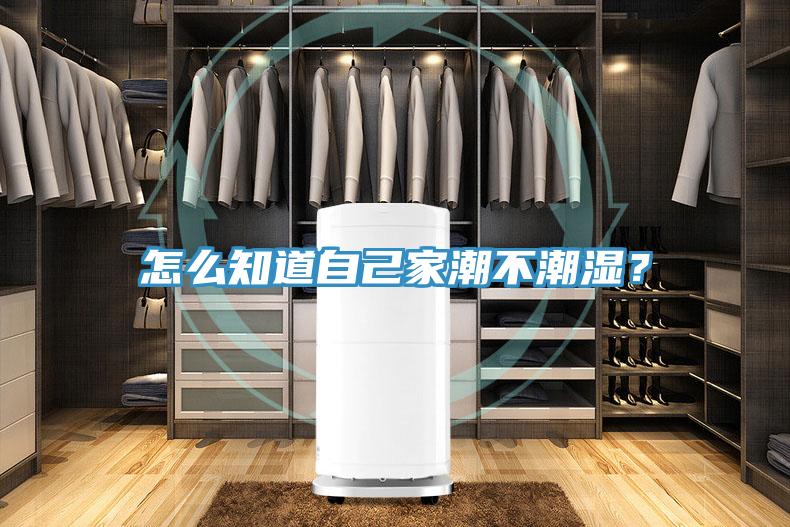 怎么知道自己家潮不潮濕？