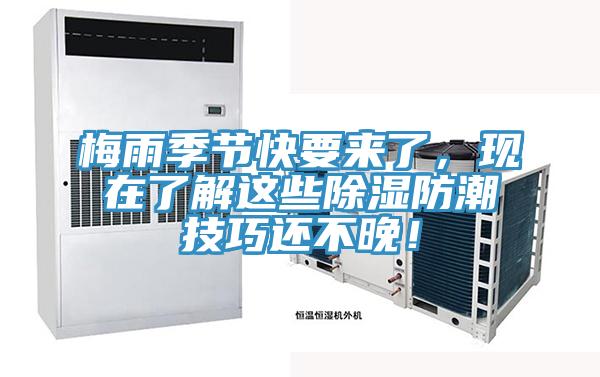 梅雨季節快要來了，現在了解這些除濕防潮技巧還不晚！
