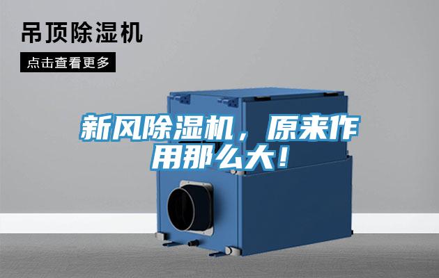 新風(fēng)除濕機(jī)，原來(lái)作用那么大！