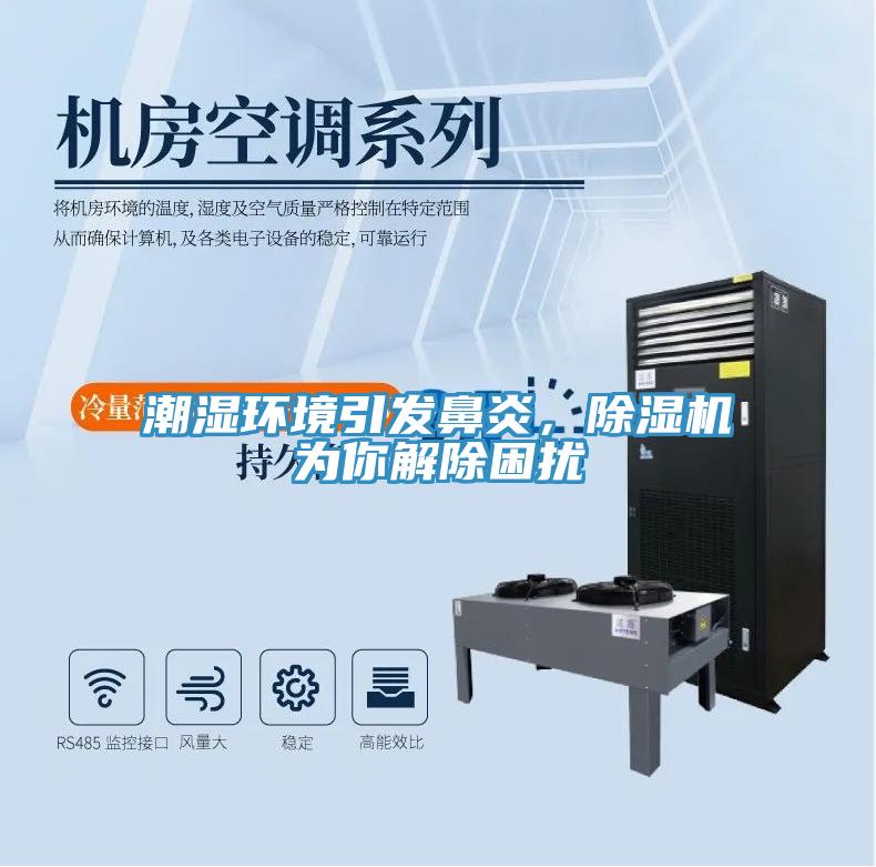 潮濕環境引發鼻炎，除濕機為你解除困擾