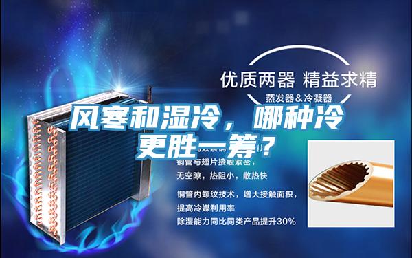 風(fēng)寒和濕冷，哪種冷更勝一籌？