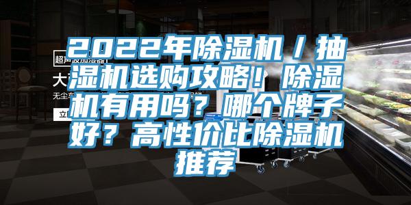 2022年除濕機／抽濕機選購攻略！除濕機有用嗎？哪個牌子好？高性價比除濕機推薦
