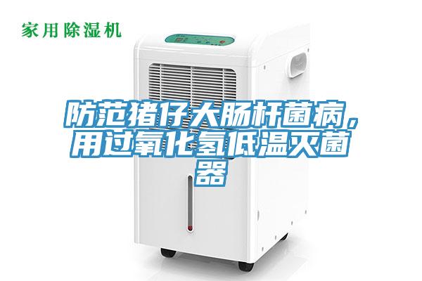 防范豬仔大腸桿菌病，用過氧化氫低溫滅菌器