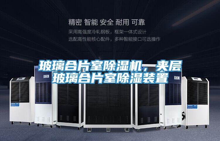 玻璃合片室除濕機(jī)，夾層玻璃合片室除濕裝置
