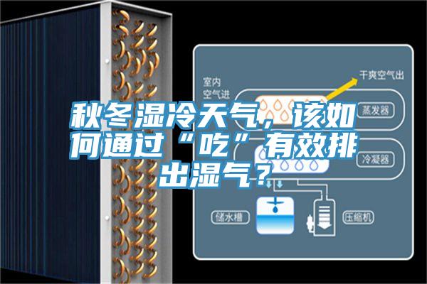 秋冬濕冷天氣，該如何通過“吃”有效排出濕氣？