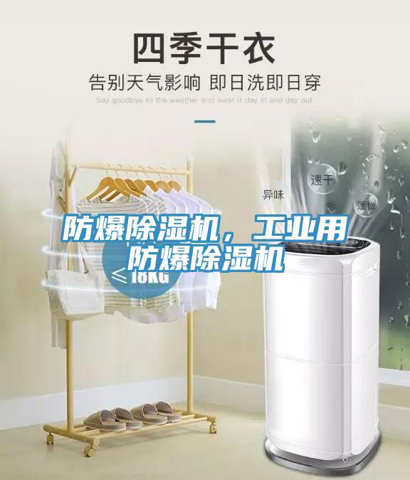防爆除濕機，工業用防爆除濕機