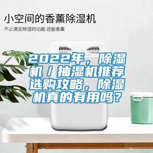 2022年，除濕機／抽濕機推薦選購攻略，除濕機真的有用嗎？