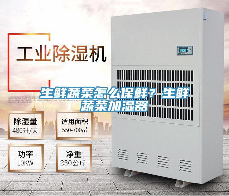 生鮮蔬菜怎么保鮮？生鮮蔬菜加濕器
