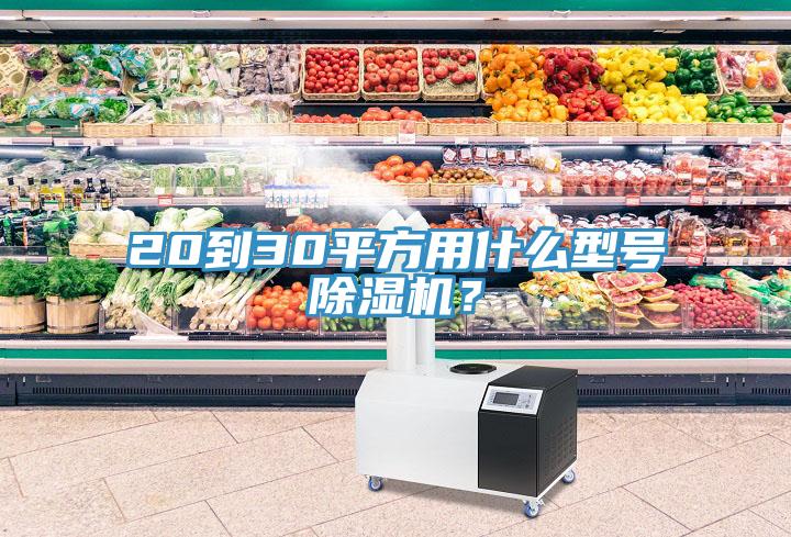 20到30平方用什么型號(hào)除濕機(jī)？