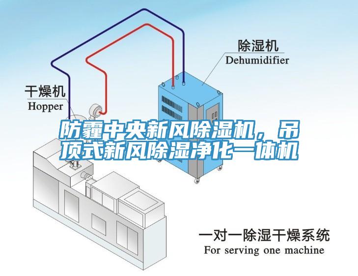 防霾中央新風除濕機，吊頂式新風除濕凈化一體機