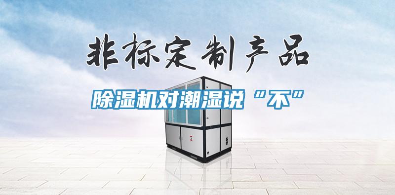 除濕機(jī)對(duì)潮濕說(shuō)“不”