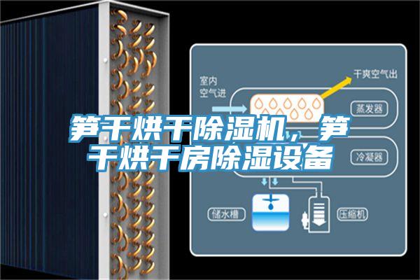 筍干烘干除濕機(jī)，筍干烘干房除濕設(shè)備