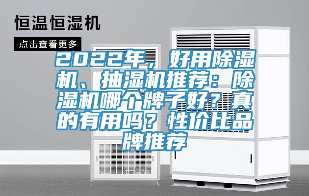 2022年，好用除濕機、抽濕機推薦：除濕機哪個牌子好？真的有用嗎？性價比品牌推薦