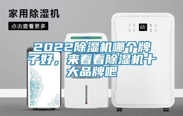 2022除濕機哪個牌子好，來看看除濕機十大品牌吧